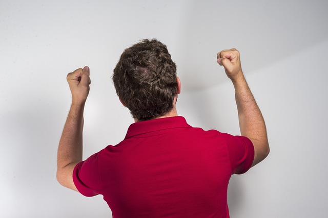 这些新的黄 这些新的黄